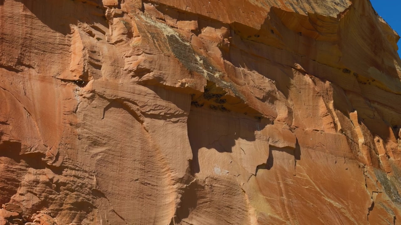 Texturas detalladas de acantilados de arenisca con nidos de golondrinas bajo un saliente de cañón resguardado, ofreciendo una fresca protección sombreada del calor del desierto.