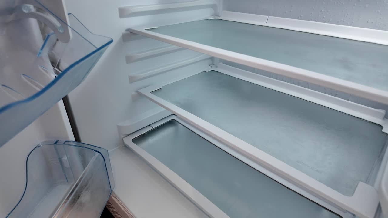 Empty Refrigerator Shelves