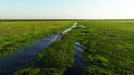 tourist boat across vegetated swamps in los llanos during sunset in venezuela. aerial drone shot