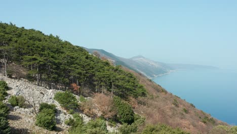 panorama of the forest covered island of cres in croatia