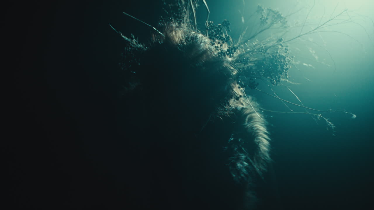 A creepy witch during the night storm