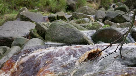 Calm-autumn-winter-woodland,-a-gentle-stream-flows-over-rocks,-creating-small-waterfalls