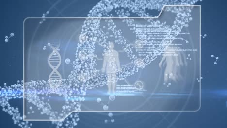 Studium-Der-Menschlichen-DNA