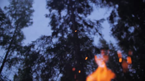 Dunkles-Abendfeuer-Mit-Blauem-Himmel-Und-Funkeln,-Verschwommenem-Hintergrund-Und-Bäumen