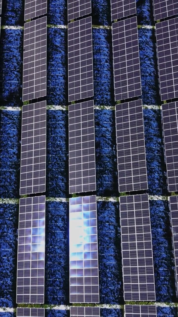 Pannelli solari coprono il terreno in un campo di energia verde durante le ore di luce solare.