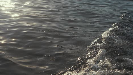 sunlight glistens across water near boats wake