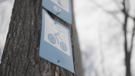 winter cycling path sign on a tree