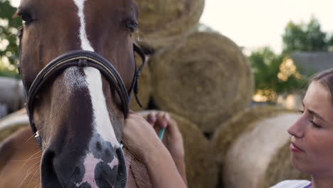 una mujer tratando el ojo de un caballo.