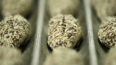 bread dough with multigrain seeds placed on the baguette pan and ready for baking