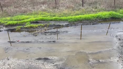 minor flooding across the street from moss landing harbor on the pacific coast highway 1 after a tsunami advisory was put into effect throughout all monterey county beaches