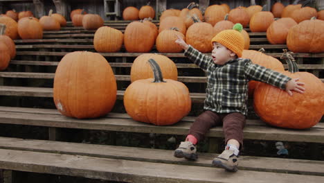 A-cheerful-kid-sits-on-a-bench-among-rows-of-pumpkins.-Autumn-fair-in-honor-of-Halloween