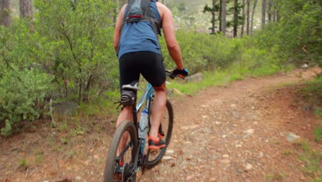 pareja en bicicleta a través de un bosque