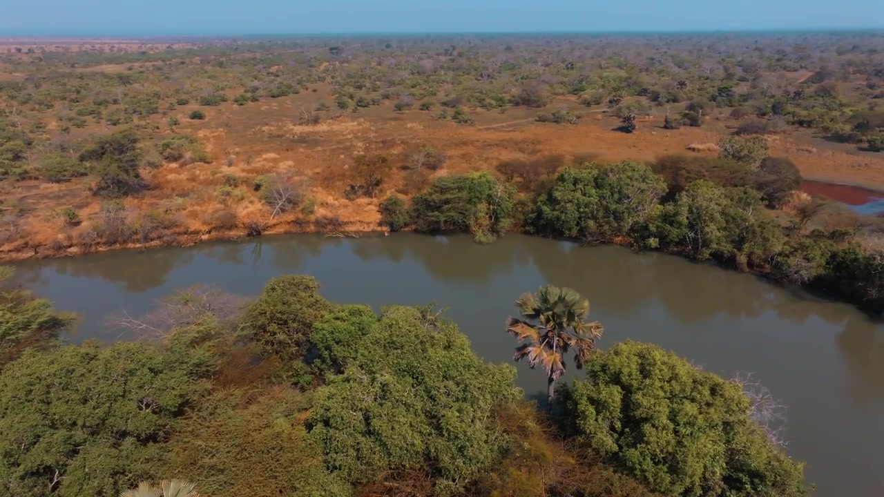 Vista aérea do Rio Malagarasi cortando a paisagem africana, revelando a vasta natureza selvagem e a beleza natural.