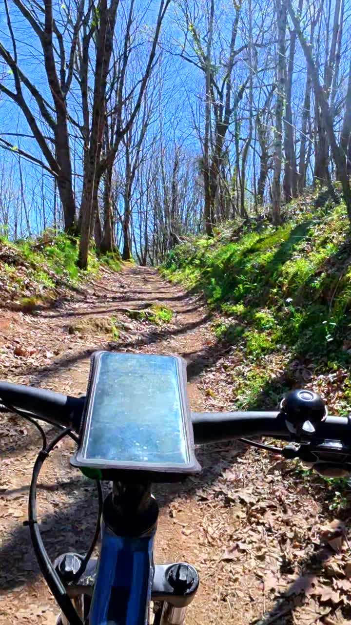 Mountain bike su un sentiero forestale