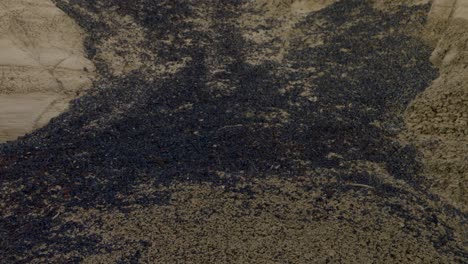 Desert-Vegetation-and-Sandstone-Quarry-in-New-Mexico-Ah-Shi-Sle-Pah-Study-Area