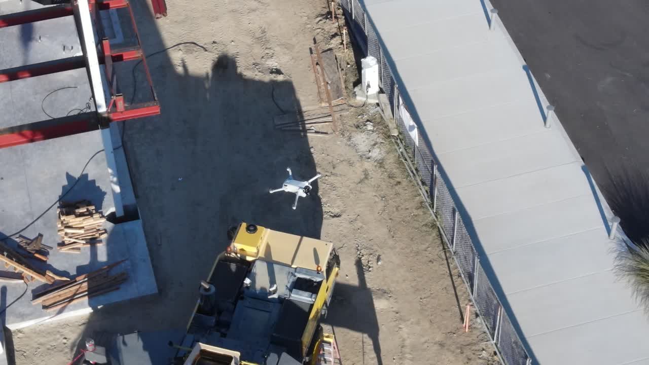 rana voladora girando en su lugar