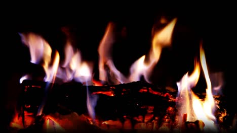troncos de fuego 01