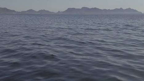 Slow-motion-footage-of-rare-dolphin-playing-near-boat-in-Sea-of-Cortez