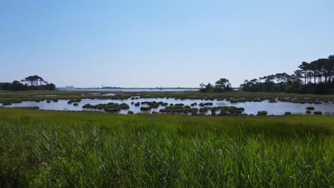 drone shot overlooking marshes near ocean city, maryland