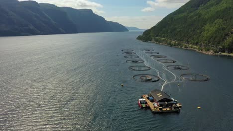 Luftaufnahmen-Von-Lachsfarmen-In-Norwegen