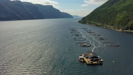 imágenes aéreas de granjas de pesca de salmón en noruega
