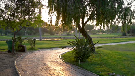 a beautiful golf course with green grass, trees, lake and feather grass on a sunny day