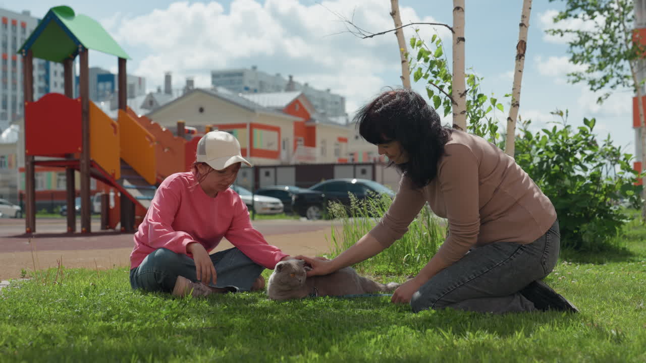 Puppy Obedience On Grass Outdoors, Playful Training Activity With Child And Puppy In Park Setting, Engaging Outdoor Session Where Child And Puppy Focus On Obedience Through Positive Reinforcement