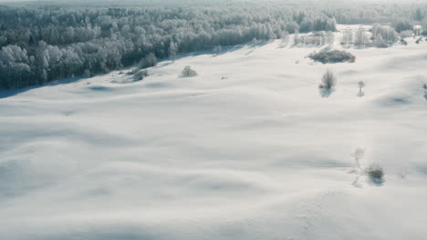 aerial view of a snowy winter landscape