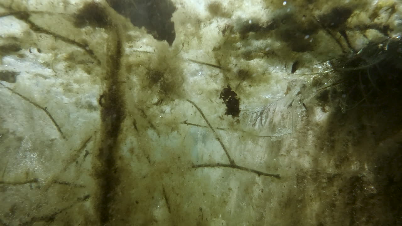 depósito de agua para animales - toma submarina