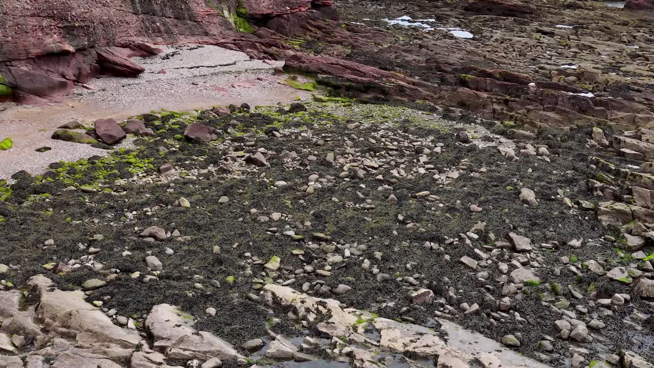 Drone pans over rugged Scottish coastline, revealing tidal pools, seaweed, and red sandstone cliffs