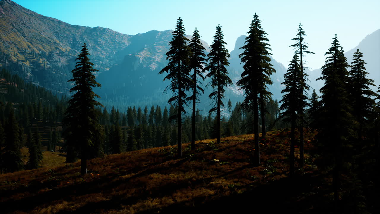 캐나다 로키 산맥 의 공중 전망