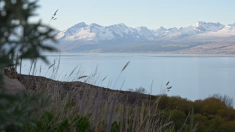 idyllic view of lake pukaki and mountains in south island, new zealand - wide shot