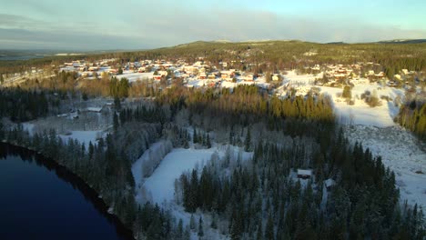 winter landscape in forest with rural village and river, aerial