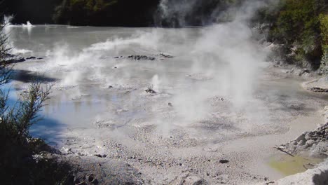 Hot, steaming mud pool, bubbling in Rotorua