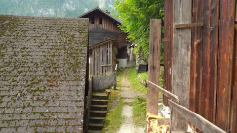 little narrow stone path in hallstatt village that leads up to mountain on a gloomy day