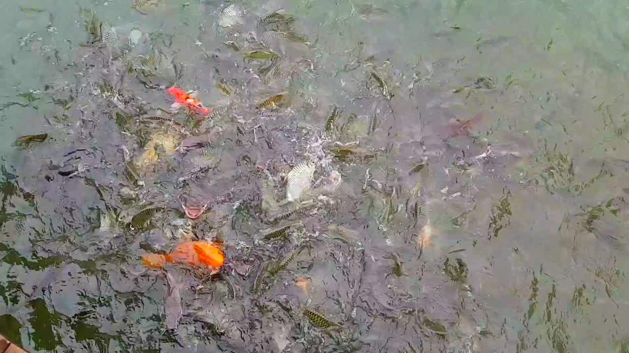 태국 타라크 폭포 에 있는 거대한 저수지