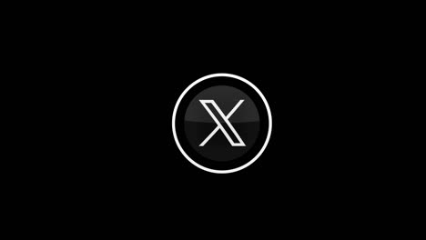 black and white oval logo with letter x