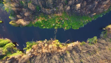 a river surrounded by green and brown vegetation under bright sunlight