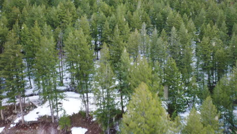 forestry hillside luxury house building during snowfall, aerial drone view