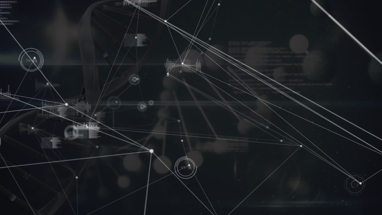 Animation of network of connections over data processing