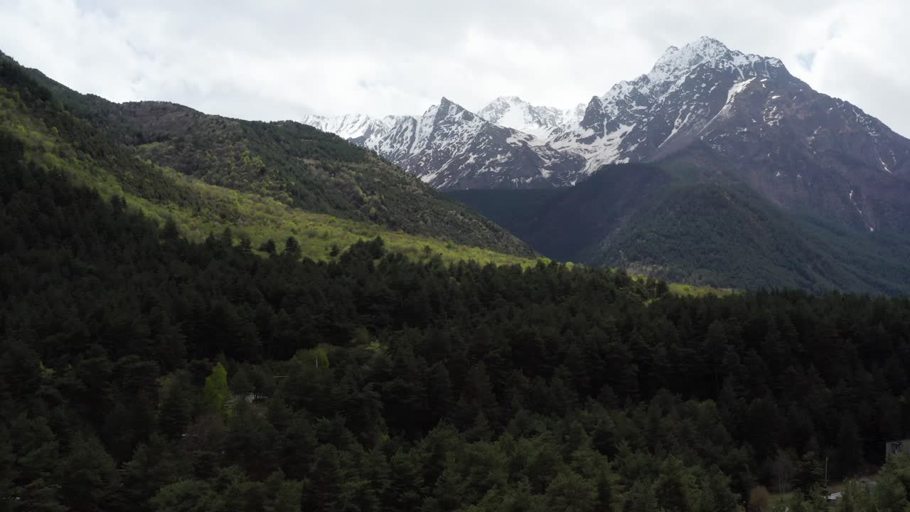 vista aérea de colinas boscosas con montañas cubiertas de nieve en el fondo