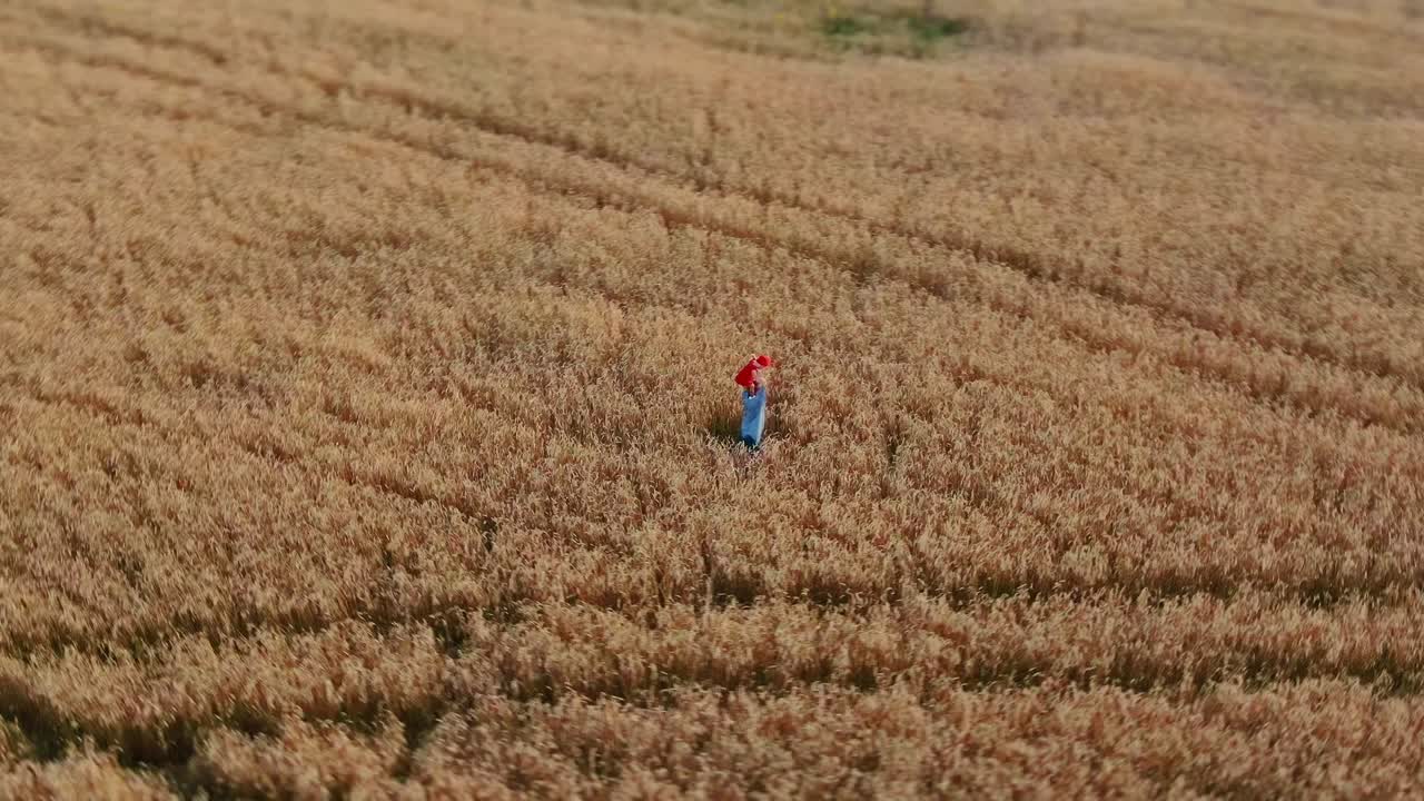 아빠가 에서 아기를 둘러싸고 있다. 끝없는 밀. 카메라 회전. 터에서 찍은 영상.