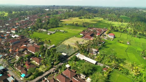 Luftflug-über-Wohnviertel-Und-Reisplantagen-Mit-Grünen-Terrassen-In-Der-Regentschaft-Bangli-Auf-Bali,-Indonesien