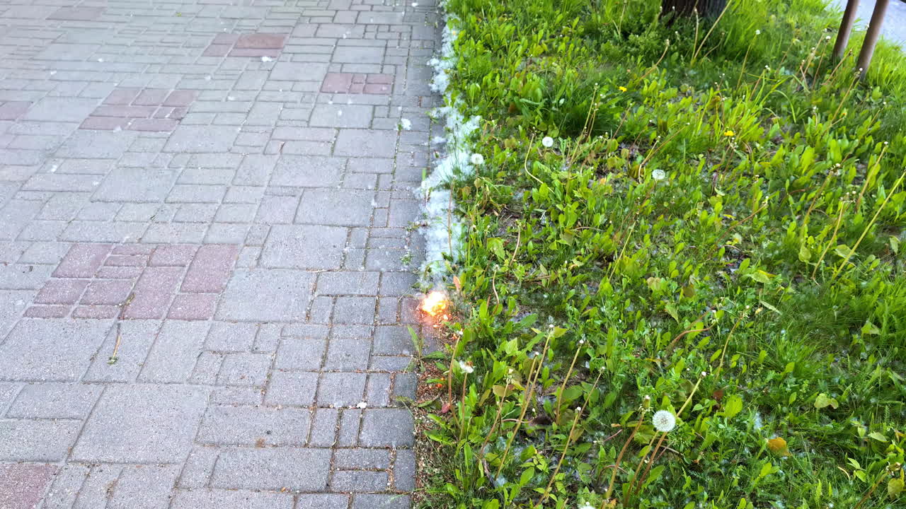 Small Fire Burning in Grass Next to Pavement