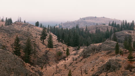 Kamloops&#39;-Halbtrockene-Küsten-Von-Oben