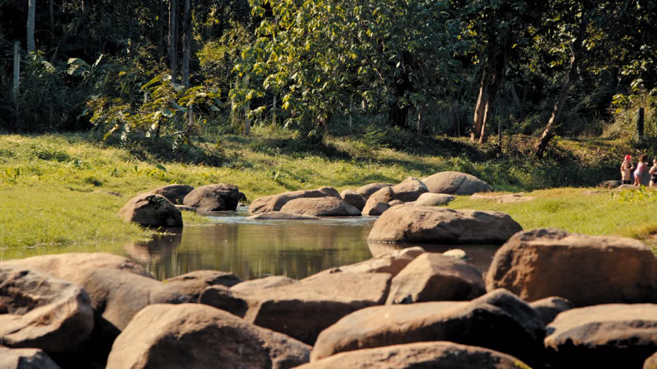 Scenic river landscape with rocks and trees