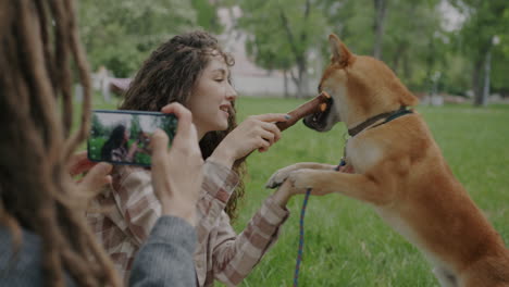 woman taking pictures of her shiba inu dog in a park