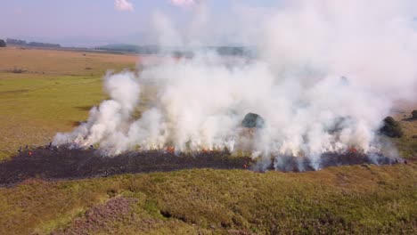 las olas de humo de un fuego controlado que arde a través de campos de hierba en un vasto paisaje abierto