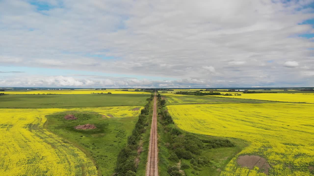 Aerial moving foreword above a single rail line cutting through fields of bright yellow canola.