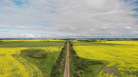 aerial moving foreword above a single rail line cutting through fields of bright yellow canola.